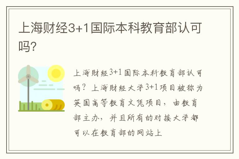 上海财经3+1国际本科教育部认可吗？