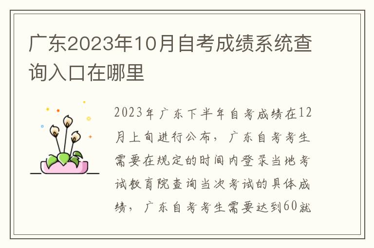 广东2023年10月自考成绩系统查询入口在哪里
