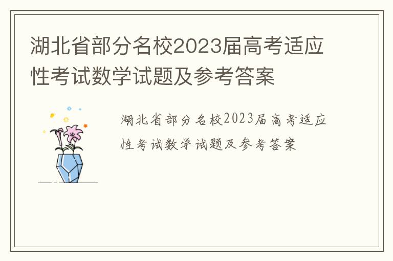 湖北省部分名校2023届高考适应性考试数学试题及参考答案