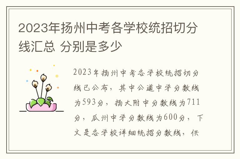 2023年扬州中考各学校统招切分线汇总 分别是多少