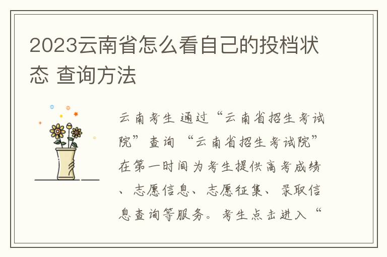 2023云南省怎么看自己的投档状态 查询方法