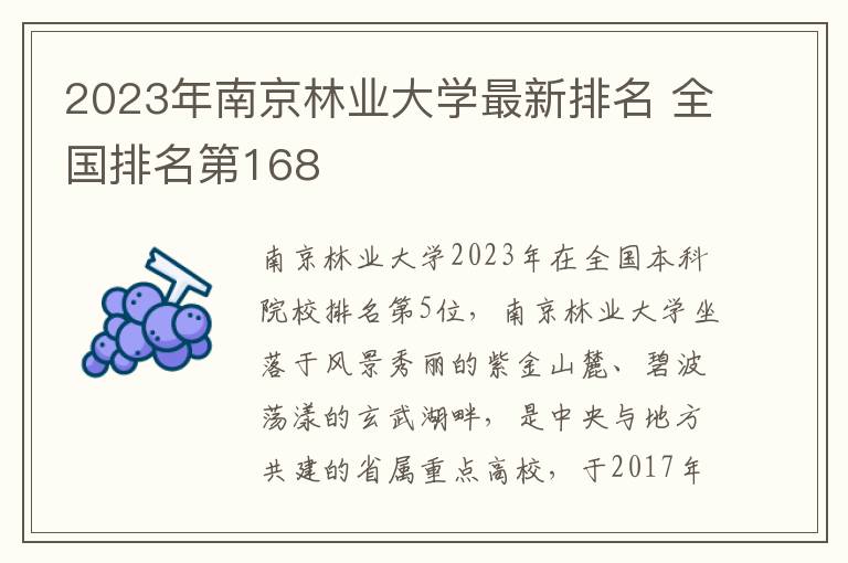 2023年南京林业大学最新排名 全国排名第168