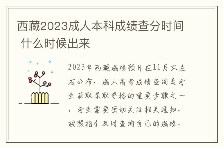 西藏2023成人本科成绩查分时间 什么时候出来