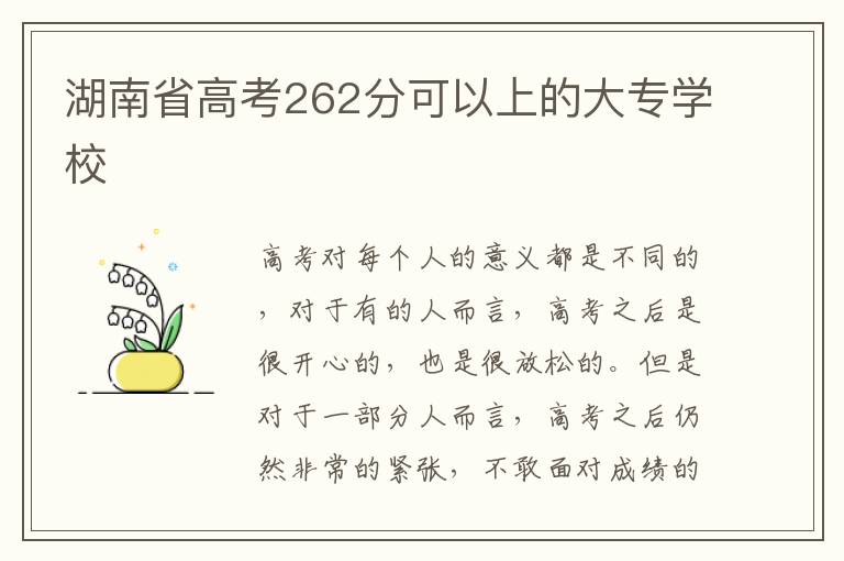 湖南省高考262分可以上的大专学校