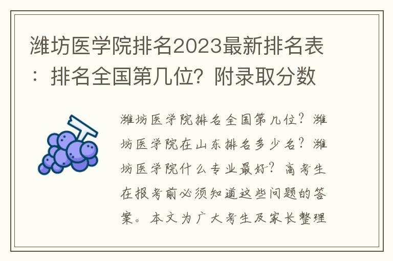 潍坊医学院排名2023最新排名表：排名全国第几位？附录取分数线