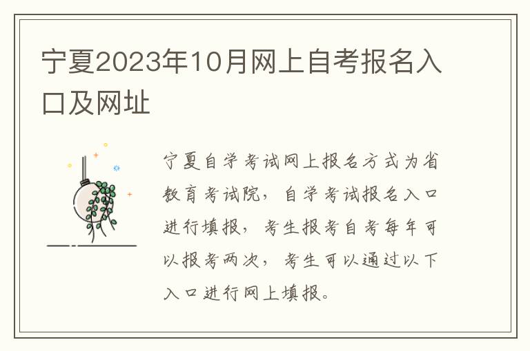 宁夏2023年10月网上自考报名入口及网址