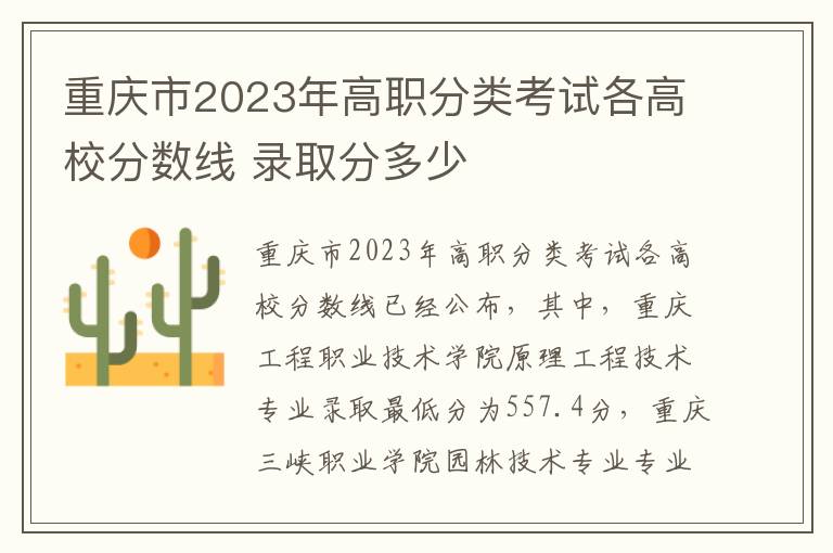 重庆市2023年高职分类考试各高校分数线 录取分多少