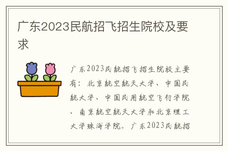 广东2023民航招飞招生院校及要求