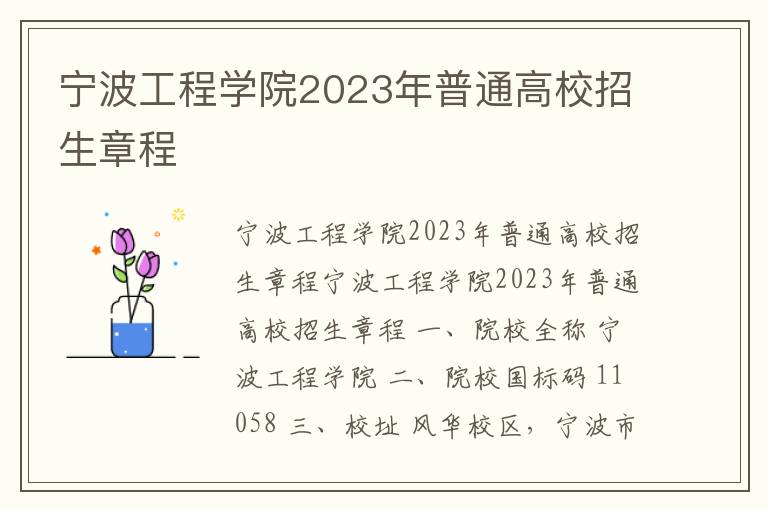 宁波工程学院2023年普通高校招生章程