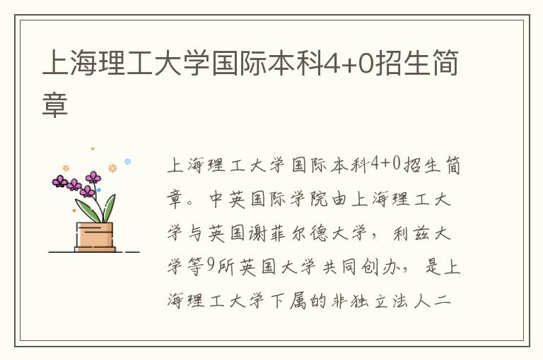 上海理工大学国际本科4+0招生简章