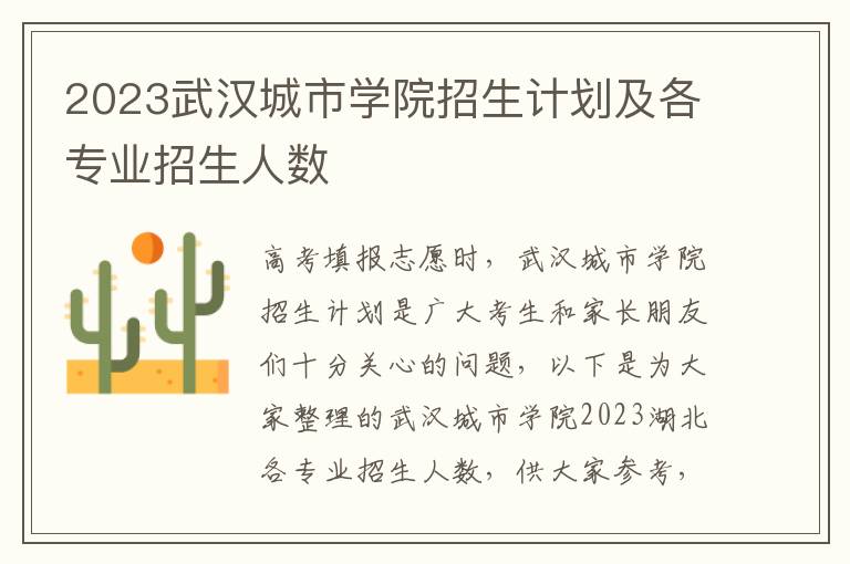 2023武汉城市学院招生计划及各专业招生人数