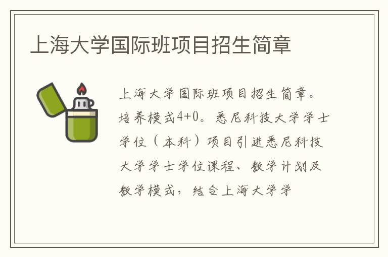上海大学国际班项目招生简章