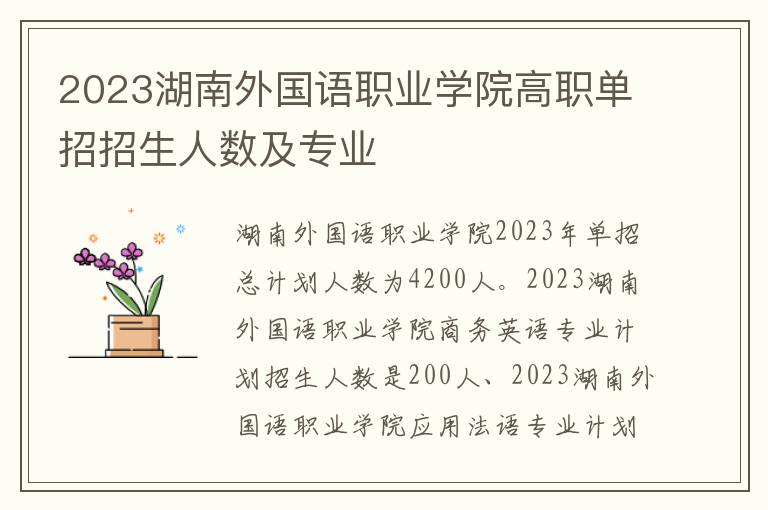 2023湖南外国语职业学院高职单招招生人数及专业