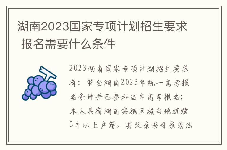 湖南2023国家专项计划招生要求 报名需要什么条件