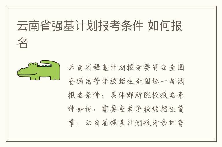 云南省强基计划报考条件 如何报名