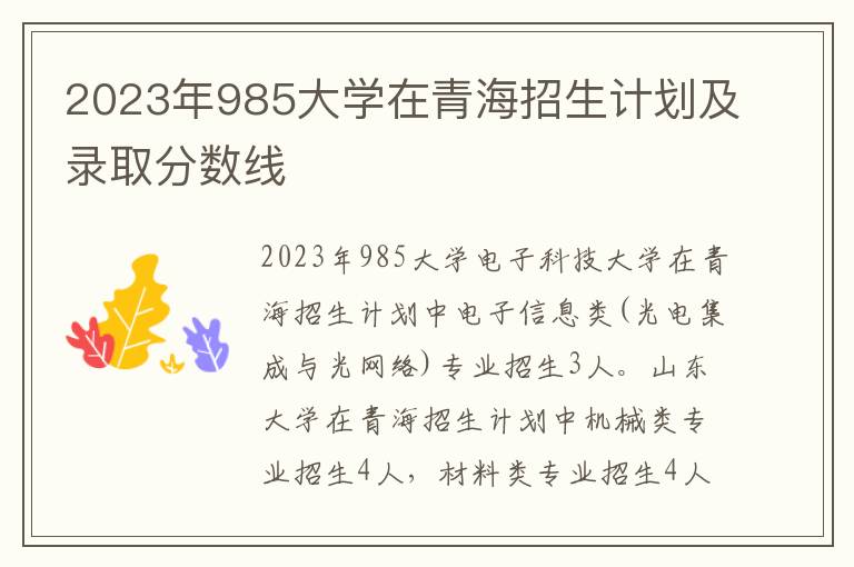 2023年985大学在青海招生计划及录取分数线