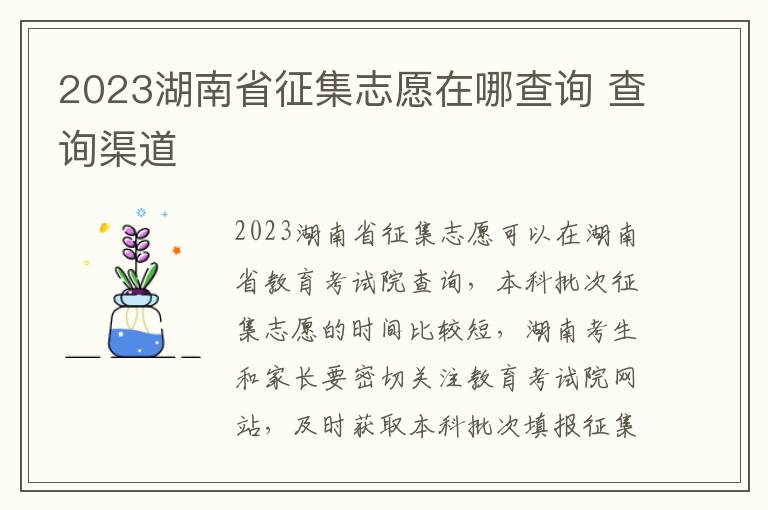 2023湖南省征集志愿在哪查询 查询渠道
